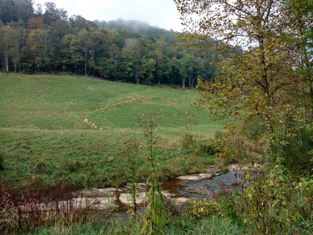 20,000 acres of conservation easement in russell county. Steam next to forest